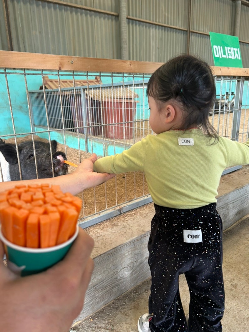 Ulsan Ulju Sky Ranch: Animal Feeding Experience for Kids & Nearby Restaurants