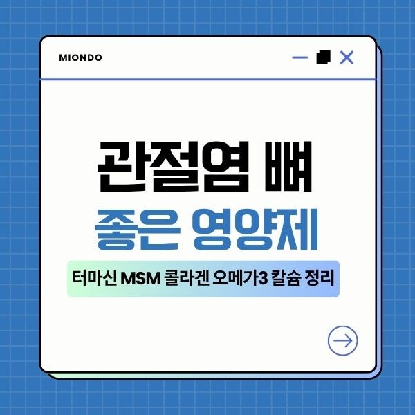 관절염 뼈 건강에 좋은 영양제터마신 MSM 콜라겐 오메가3 칼슘 정리