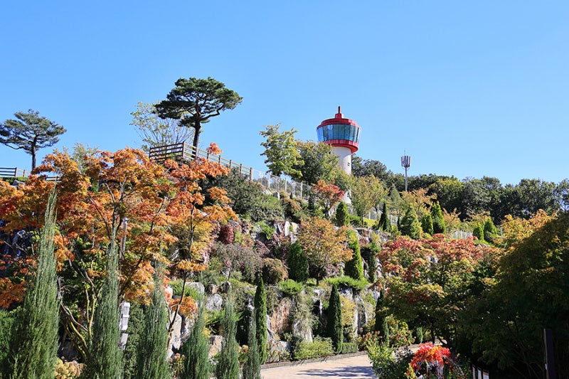 Yongin Birch Forest: A Weekend Outing with Kids in Yongin
