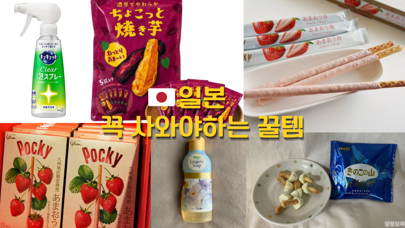 일본 가면 꼭 사와야 하는 꿀템 5가지, 과자·생활용품 쇼핑리스트