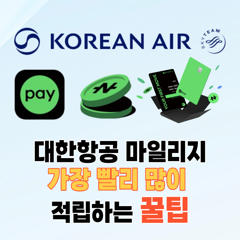 네이버페이 포인트 대한항공 마일리지 전환방법 마일리지 가장 빨리 모으는 법 꿀팁