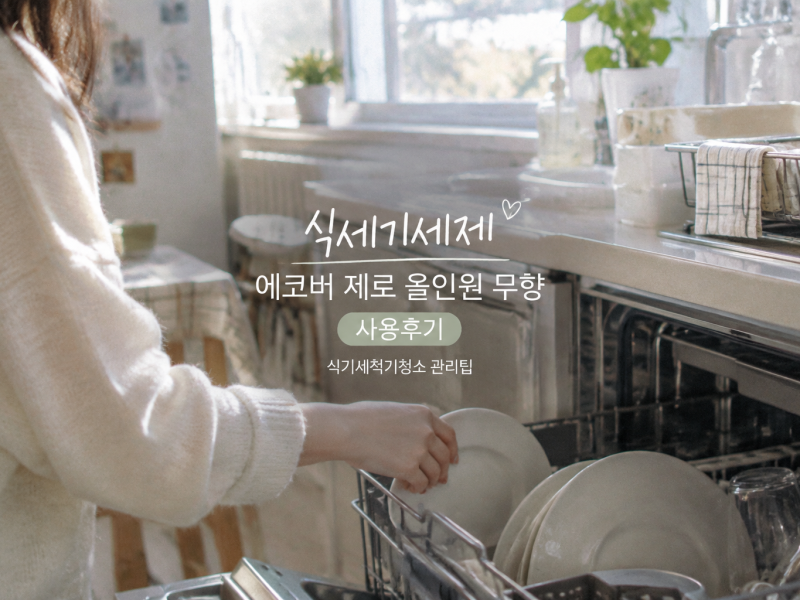 식세기세제 에코버 제로 올인원 무향, 식기세척기청소까지 챙겨본 후기