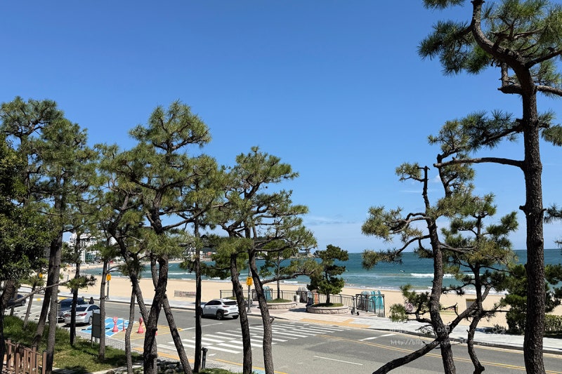 부산 송정해수욕장 맛집 여행 물 비빔 함께 송정면가 밀면