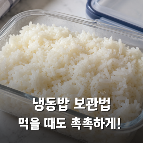 냉동밥 보관법 갓 지은 밥 소분 전자레인지 해동 시간 총정리