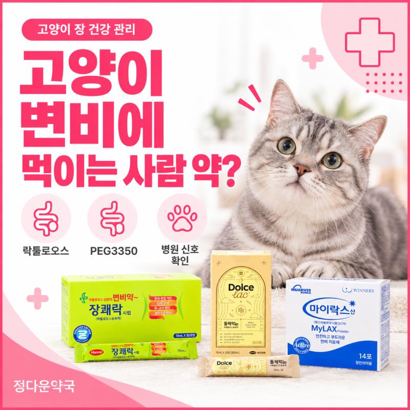 고양이 변비에 먹이는 사람 약? (장쾌락·돌체락·마이락스) - 안산 동물약국
