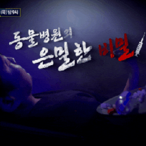 [충격] 실화탐사대 인천 S 동물병원 원장이 마약류(케타민) 셀프 투약 후 수술을 했다고❓️