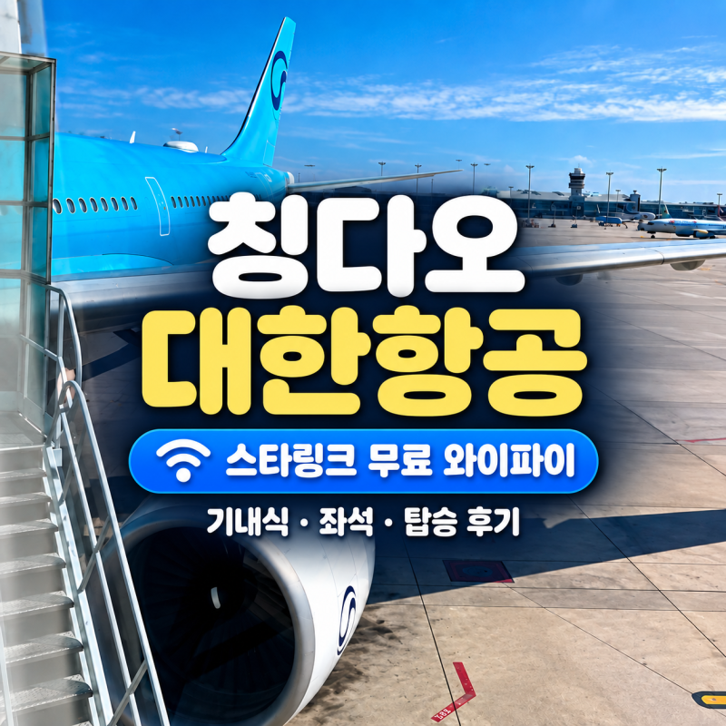 칭다오 대한항공 후기｜기내식·스타링크 와이파이
