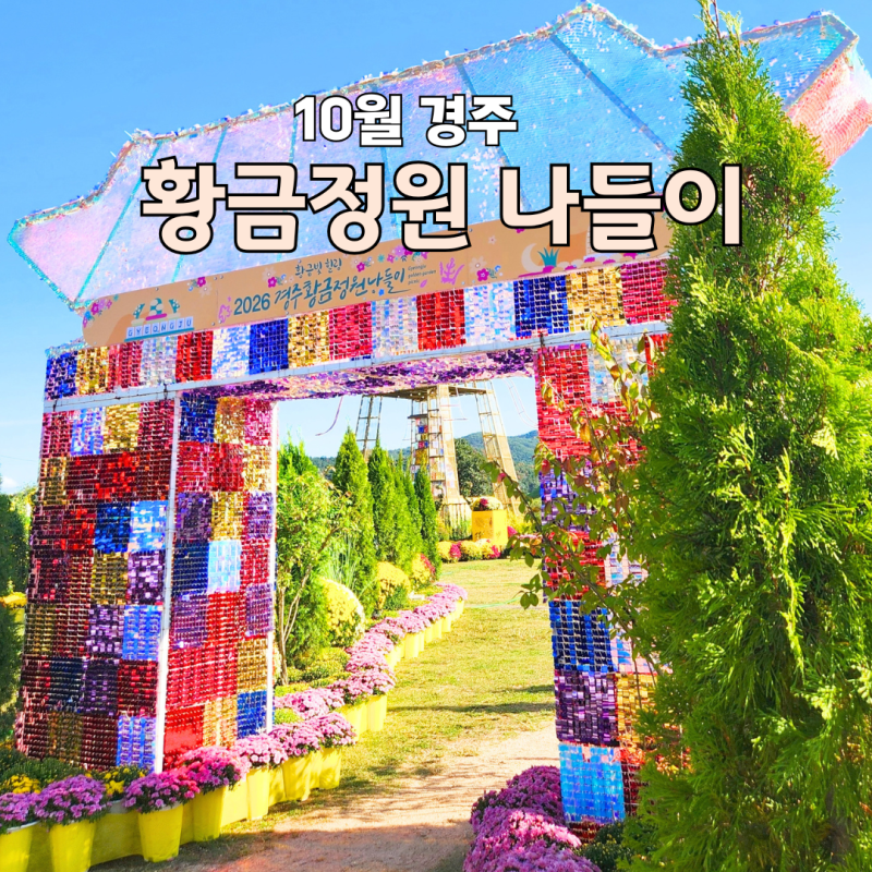 2026 경주 황금정원 꽃 나들이 대구근교 꽃구경 미리 가봤어요