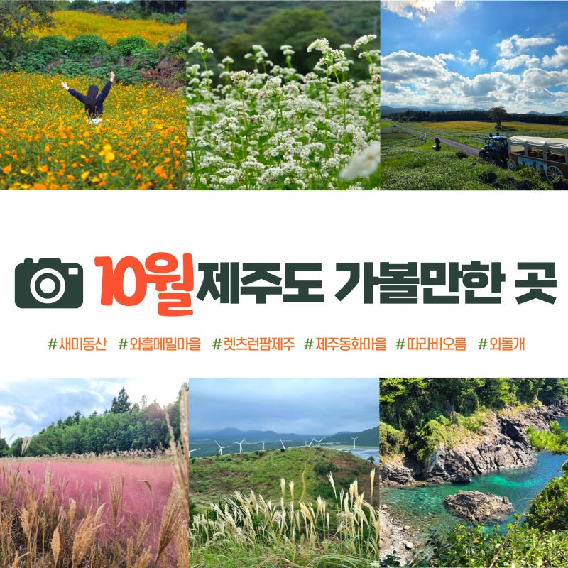 10월 제주도 가볼만한 곳, 동쪽 여행코스, 날씨, 옷차림, 10월에 볼 수 있는 꽃 정보