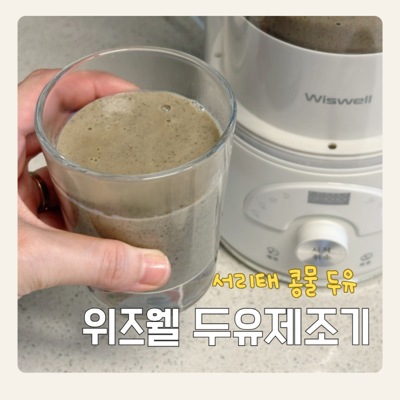 위즈웰 두유제조기 메이커 사용 후기 서리태콩물 두유 만들기