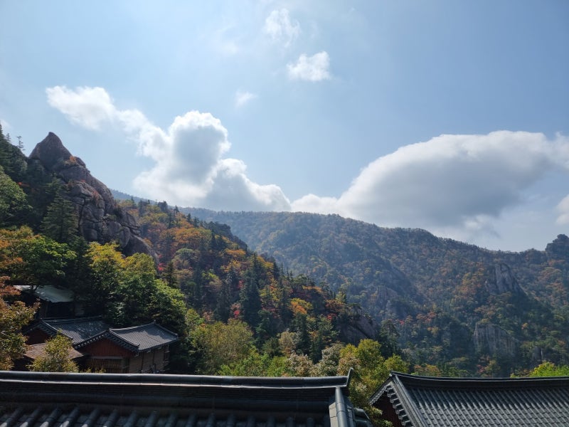설악산 백담사~봉정암 순례길, 지금 가면 딱 좋은 이유 (feat. 단풍 스타트 시즌)