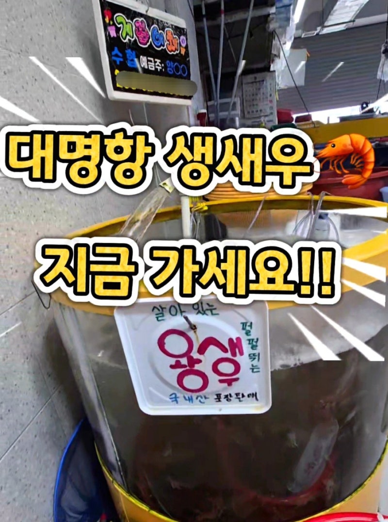 [김포] 대명항 10월 제철 새우｜생새우 대하 시세·새우구이 대하구이 먹는법·초장집 '수철아....