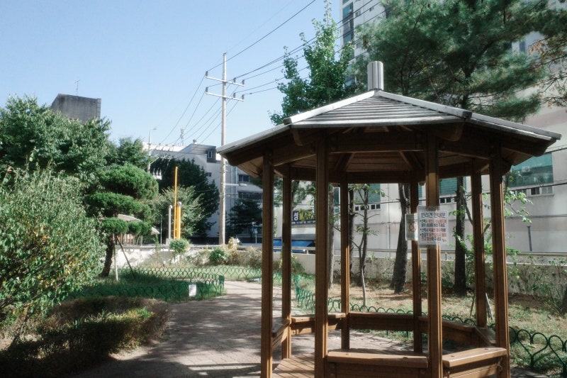 리코 GR3 hdf 작례 ⬛ • 크롭 35mm, 50mm 비교