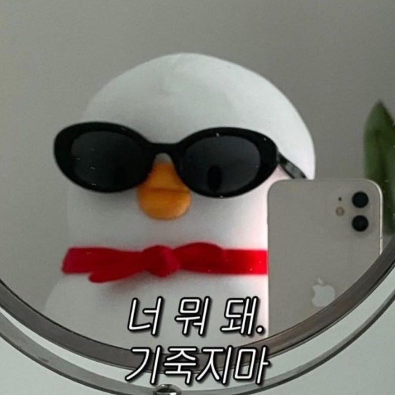 ADHD검사 후기 (성인 웩슬러 지능검사 풀배터리, cat검사)