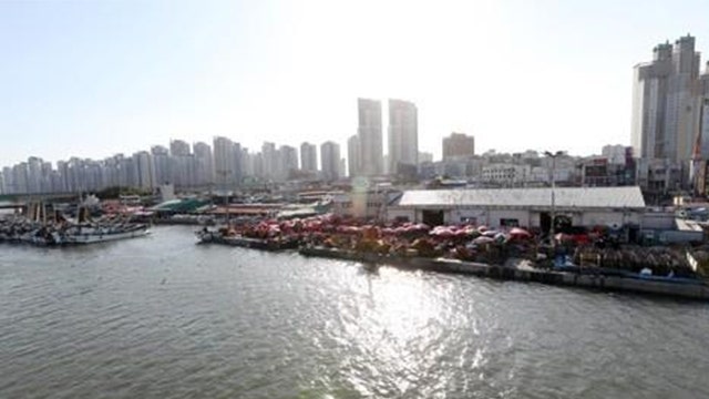 인천 소래포구축제 어린이 낚시체험 오늘부터 무료, 숙박 되는 펜션까지 총정리