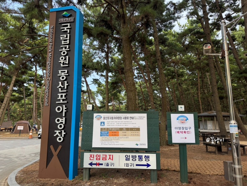 아이랑 가을캠핑 어디로 갈까? 태안 캠핑장 몽산포야영장 1박 2일 후기