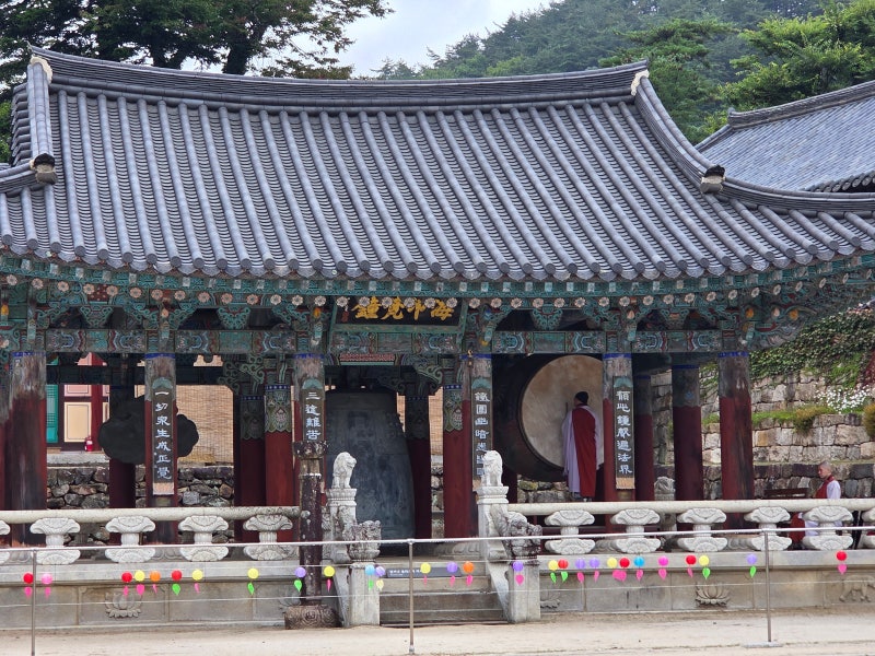 경남 아이와 가볼만한곳 우리나라 3대 사찰 합천 해인사