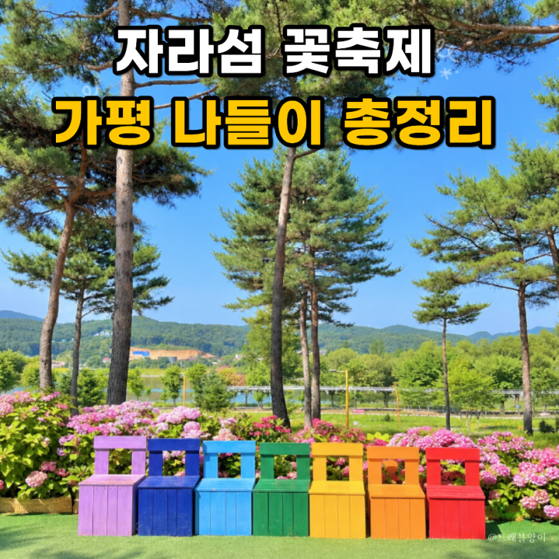 자라섬 꽃축제 10월 가평 나들이 기본 정보와 인생샷 꿀팁
