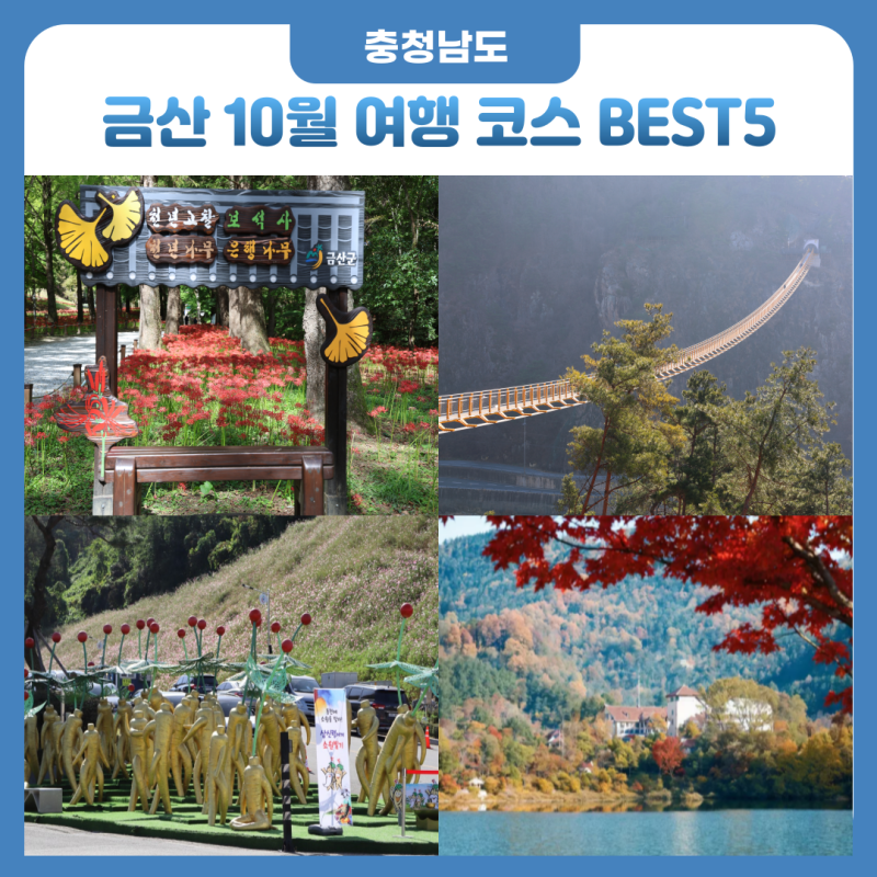 Top 5 Places to Visit in Geumsan, Chungnam for an October Trip Near Daejeon