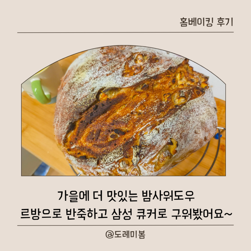 홈 베이킹 ) 삼성 큐커로 사워도우 만들기, 르방으로 구운 밤사워도우 홈베이킹