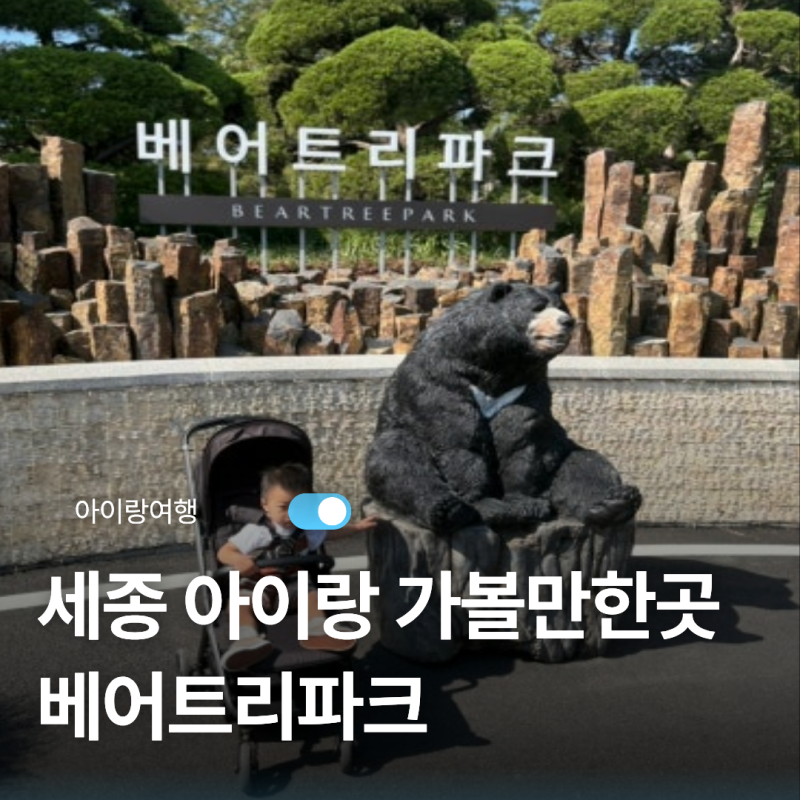 세종 아이랑 가볼만한곳 베어트리파크 아기랑 곰 먹이주기까지
