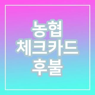 농협 체크카드 후불교통카드 신청방법 및 이용한도 직접 확인해본 후기