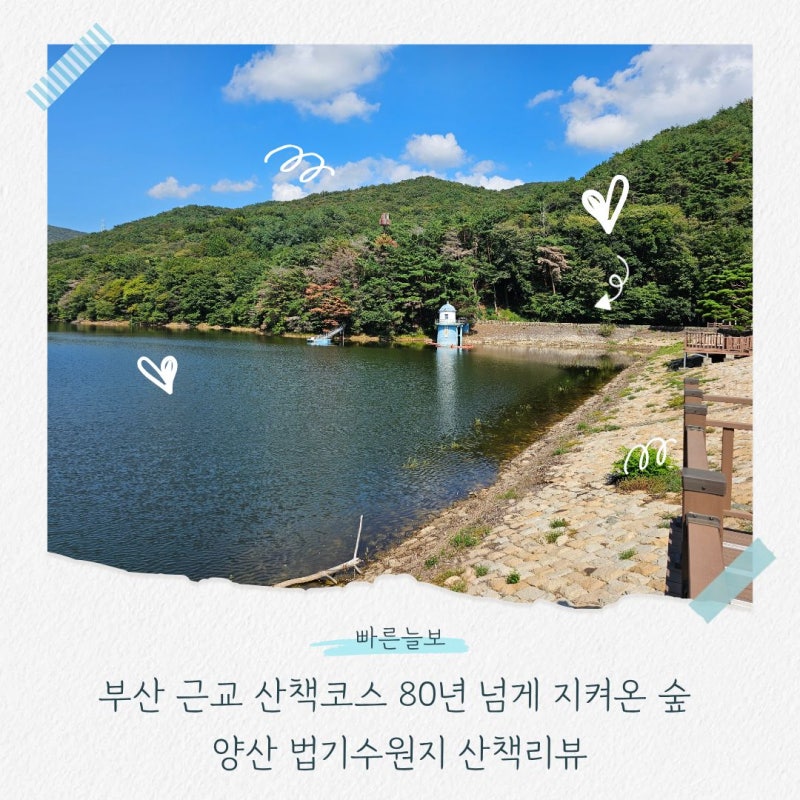 부산 근교 산책코스 80년 넘게 지켜온 숲 양산 법기수원지 산책리뷰