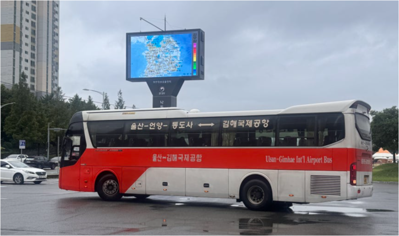 2026년 10월 울산 - 김해공항버스 ┃ 출발 시간, 요금, 탑승 장소, 소요시간, 무료 주차 팁