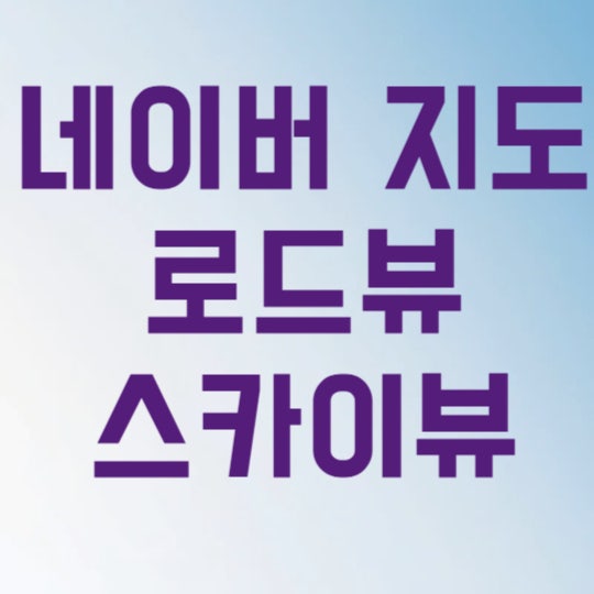 네이버 지도 로드뷰 스카이뷰 항공뷰 3가지 기능만 쓰면 현장 방문 시간 절반으로 줄입니다