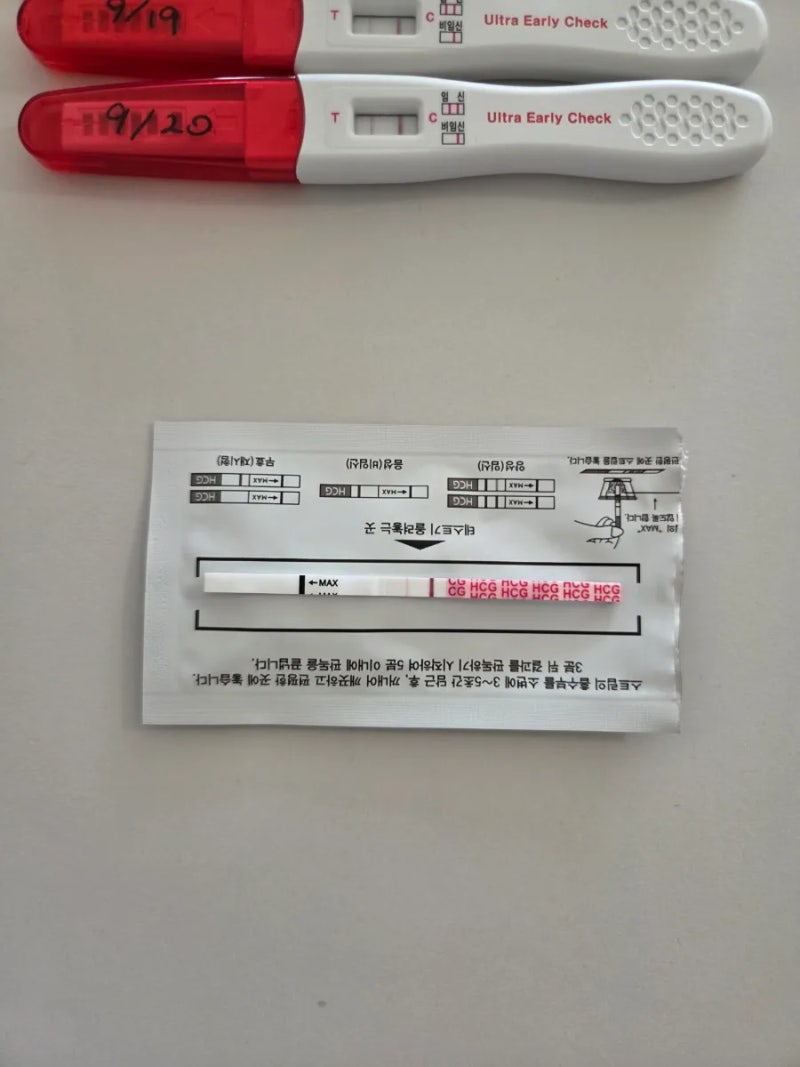 [임신 기록]1. 임신 극초기 증상 / 배란 10일차 두줄