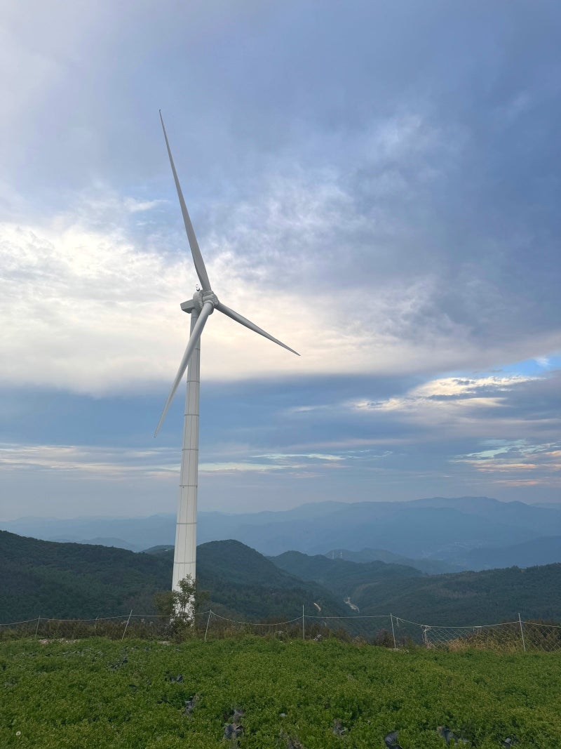 태백 매봉산 바람의언덕 솔직 후기｜가는길·운전 주의사항·부모님과 가볼만한곳 ️⛰️