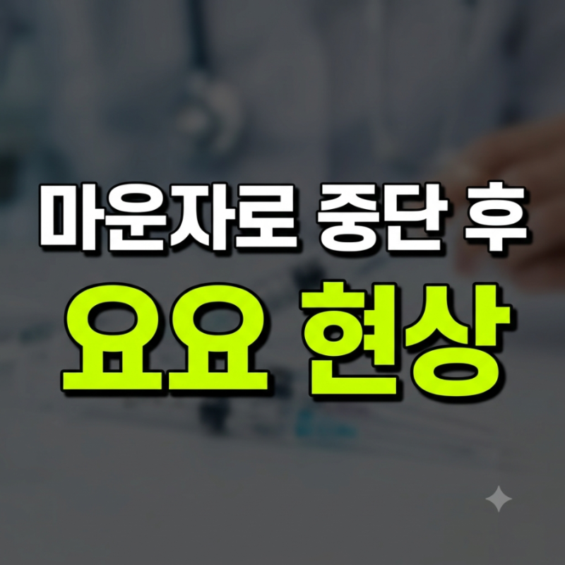 마운자로 효과와 처방 기준 총정리: 가격, 실비 적용 여부, 부작용까지