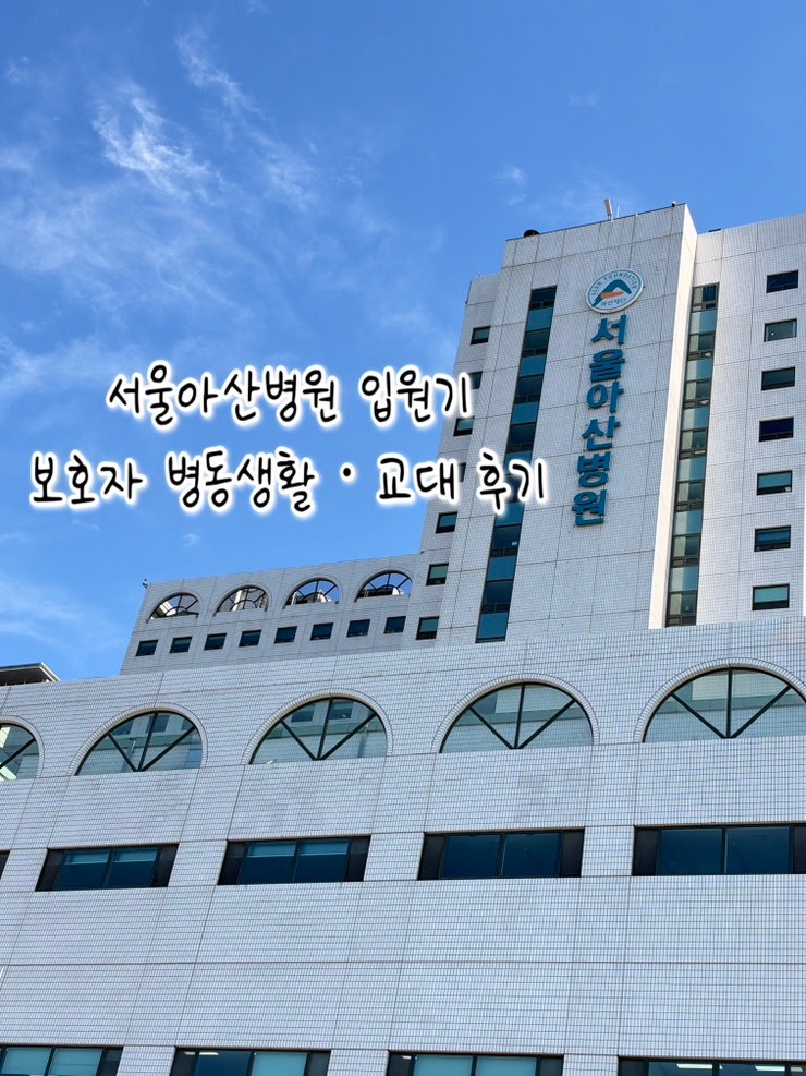 [서울아산병원 입원 보호자 후기] 응급실 입원, 보호자 교대부터 병동·병실 생활까지~