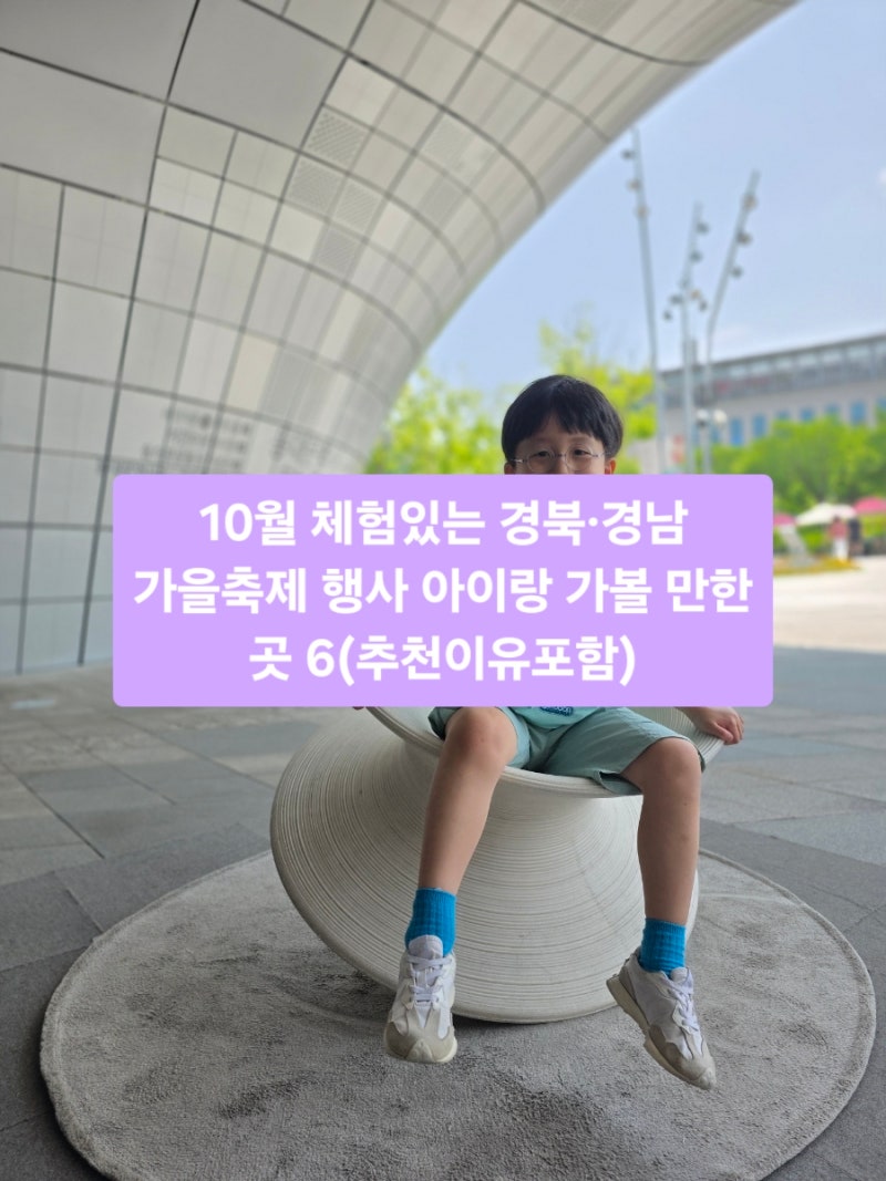 10월 체험있는 경북·경남 가을축제 행사 아이랑 가볼 만한 곳 6(추천이유포함)