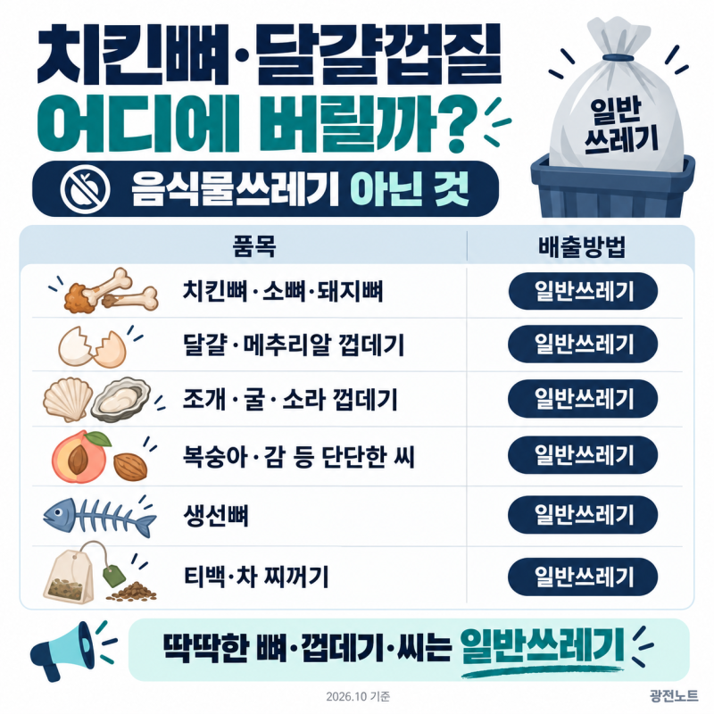 광주 음식물쓰레기 버리는 법｜치킨뼈·달걀껍질부터 5개 구 배출시간까지