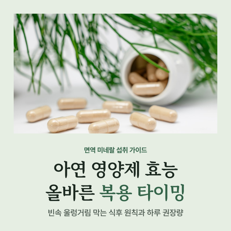 아연 영양제 효능과 복용시간, 빈속 울렁거림 막는 식후 타이밍과 35mg 기준