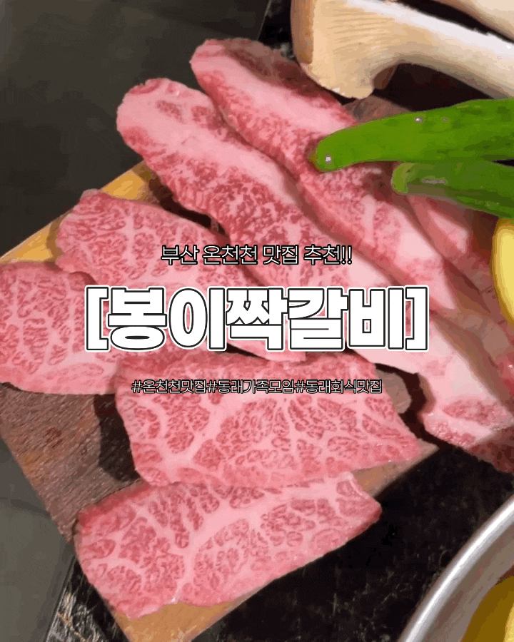 부산 온천천맛집 봉이짝갈비, 숯불에 구운 1++한우짝갈비 동래 회식 가족모임