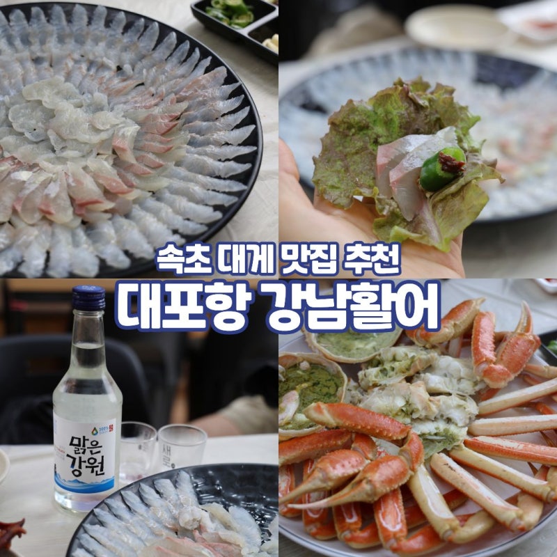 속초 대게 맛집 추천 대포항 횟집 애견동반식당 회센터 수산시장