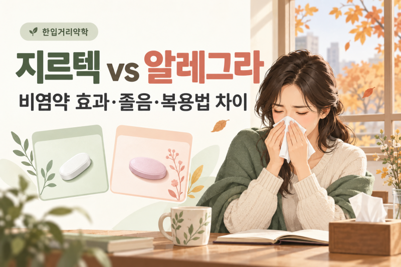 지르텍 vs 알레그라, 비염약 효과·졸음·복용법 차이