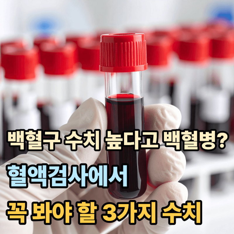 “백혈구 수치가 높으면 백혈병?”...혈액검사에서 꼭 봐야 할 3가지 수치