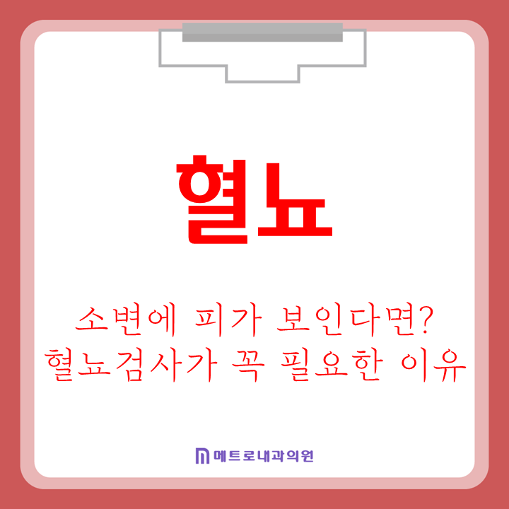 소변에 피가 보인다면? 혈뇨(Hematuria), 꼭 검사가 필요한 이유