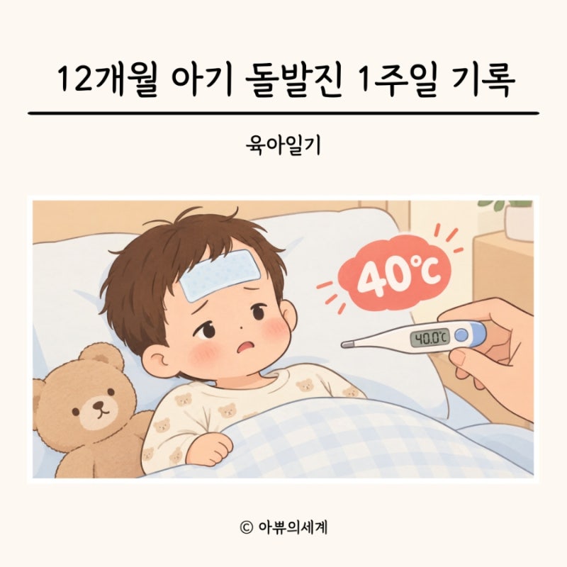 돌발진 1주일 기록 12개월 아기 고열 기준과 응급실