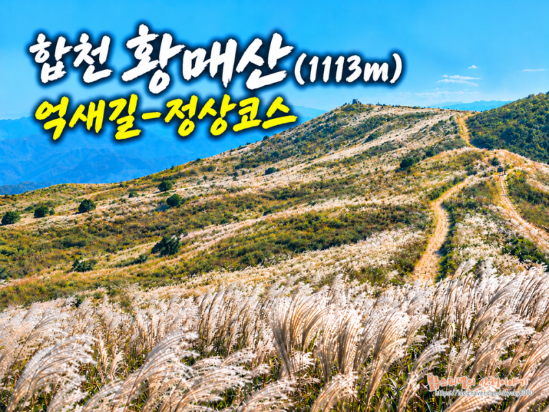 합천 황매산 최단등산코스 정상주차장 억새코스