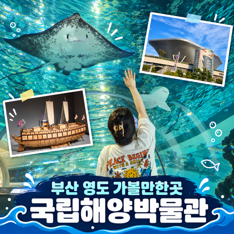 釜山影島必訪景點：國立海洋博物館｜免費入場、停車費、水族館，特色約會、親子同樂