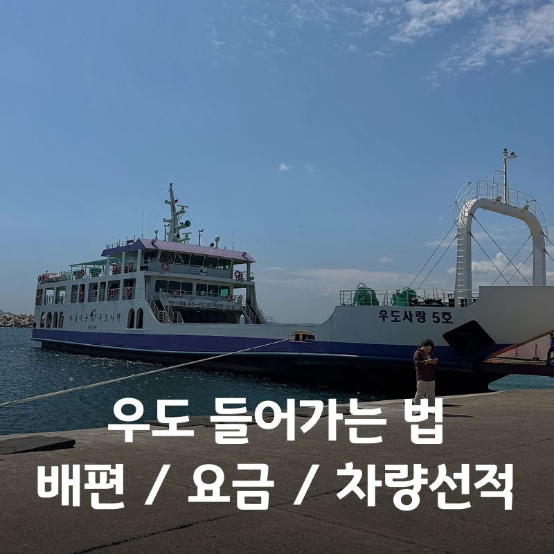 우도 배편 성산항 배시간 요금 렌터카 차량선적 입도 후기