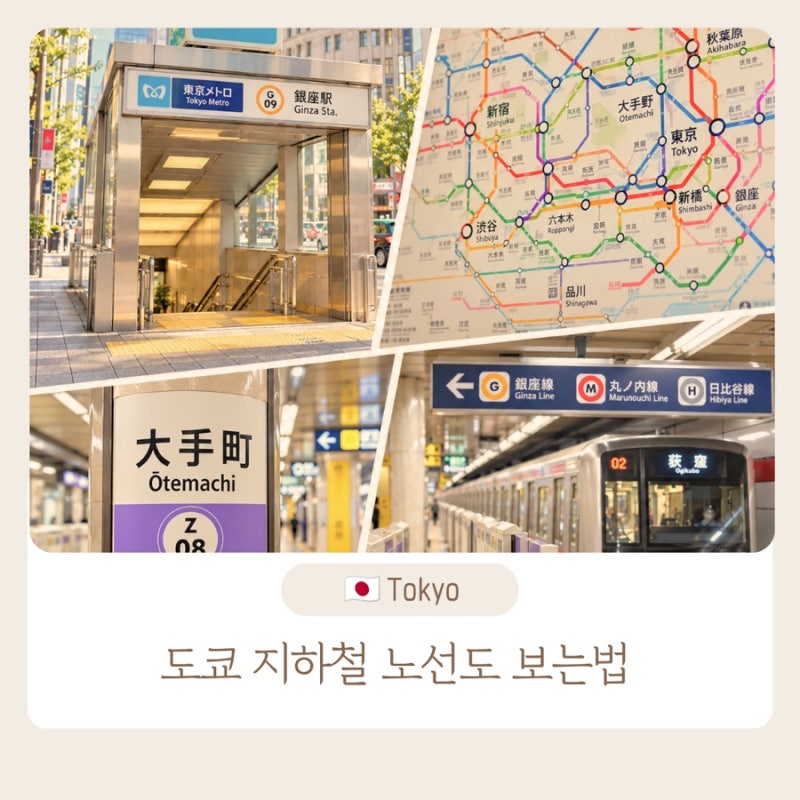 도쿄 지하철 노선도 보는법｜도쿄메트로·환승·교통패스 총정리