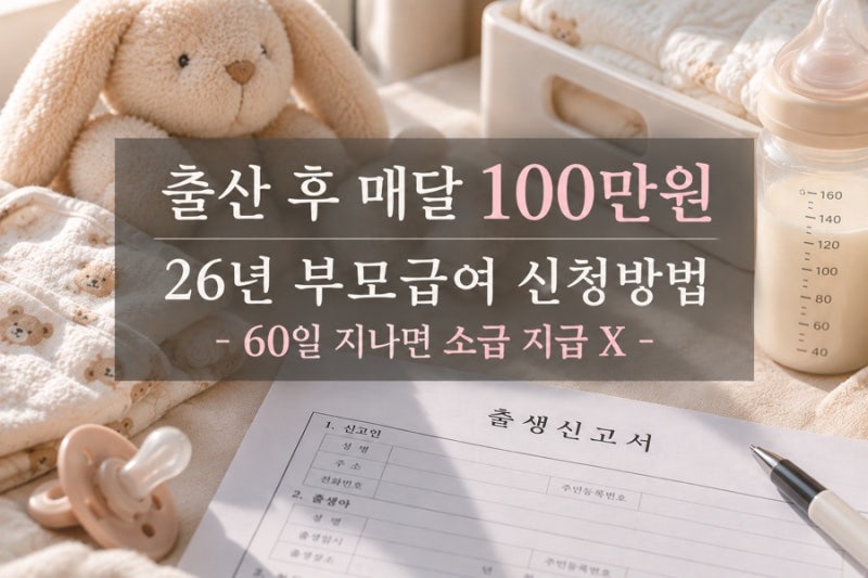 역시 세상에 그냥은 없다… 부모급여 100만원!가만히 있음 사라져버림...