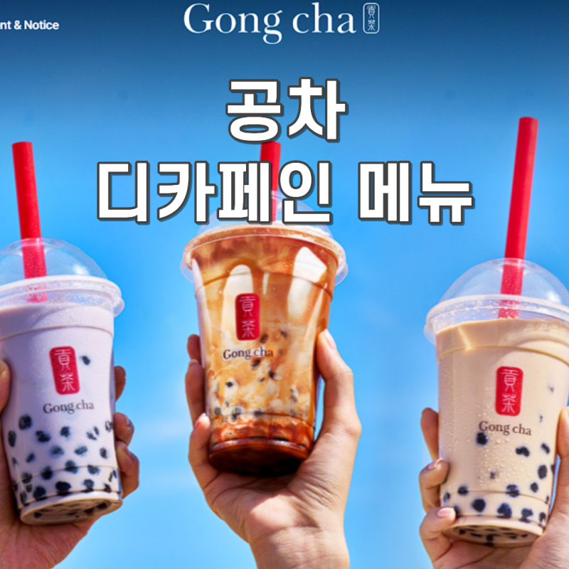 공차 디카페인 음료 종류 카페인 없는 메뉴 총정리 (임산부 메뉴 추천)