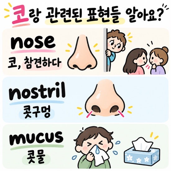 10월 2일 입트영 이지라이팅 코와 관련된 표현 정리