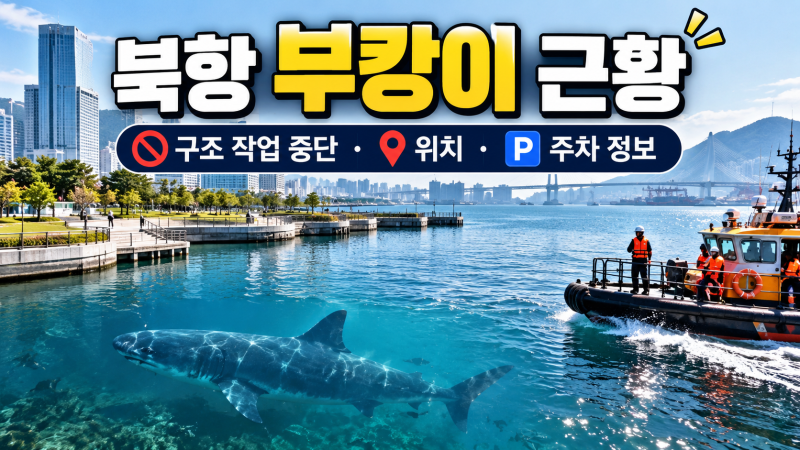 부산 북항 친수공원 상어 부캉이, 구조 작업 중단 현장과 주차 정보